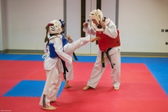LR-9533 LR-9533