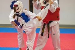 LR-9546 LR-9546